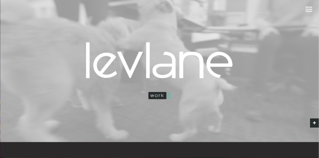 levlane screenshot