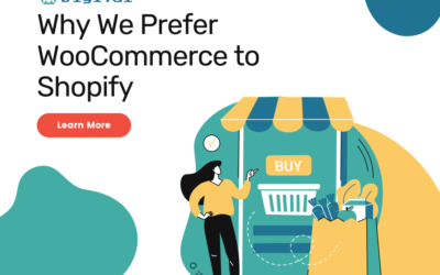 Why we Prefer WooCommerce to Shopify